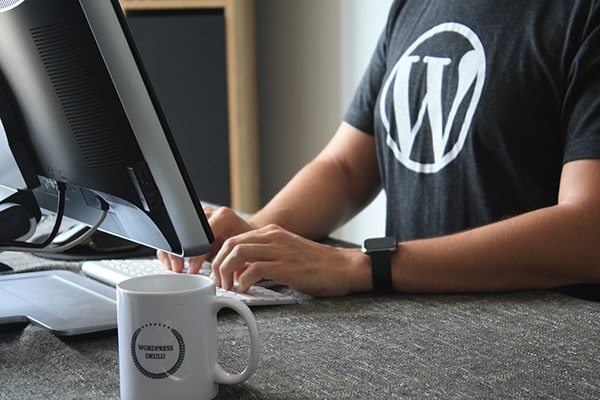 wordpress combined with woocommerce in Österreich for online stores powered by elite