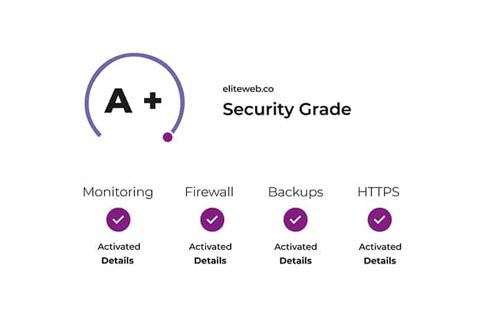 elite web website security grade