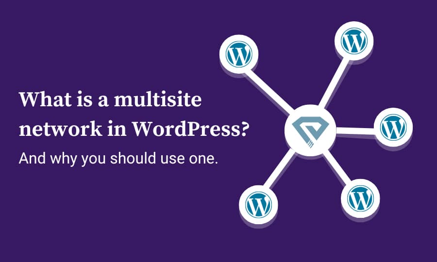 What is a WordPress multisite network?