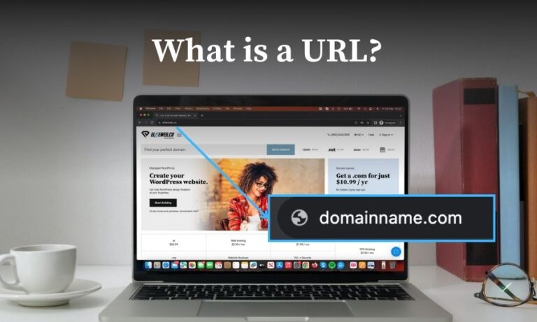 what is a URL?