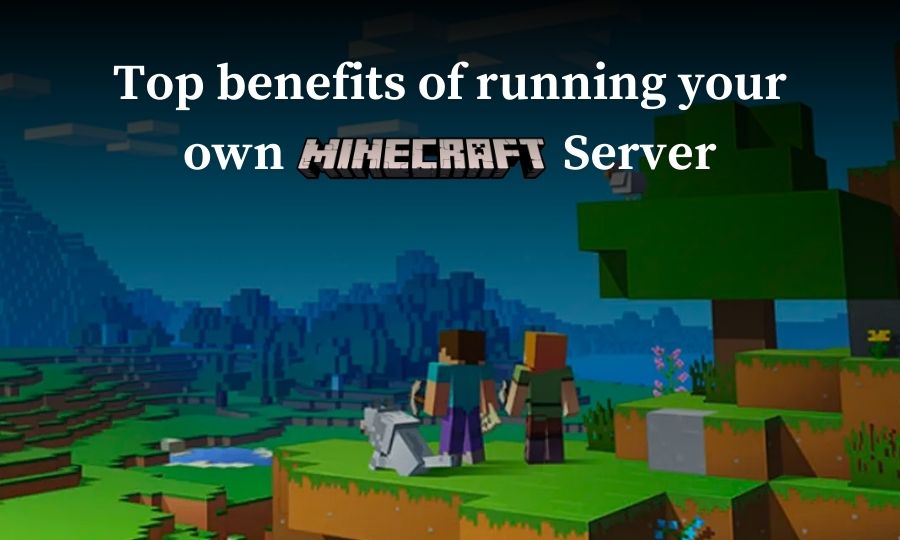 benefits of running a minecraft server