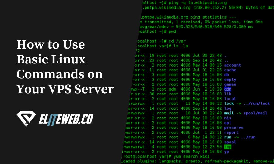 How to Use Basic Linux Commands on Your VPS Server